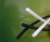 BIOPLASTICS