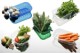 PLASTICS PACKAGING