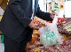 BIOPLASTICS