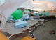 PLASTICS AND ENVIRONMENT
