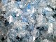PET RECYCLING
