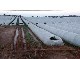 AGRICULTURAL FILM