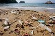 PLASTICS AND ENVIRONMENT