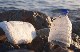 PLASTICS AND ENVIRONMENT
