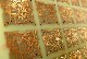 ELECTROACTIVE POLYMERS