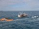 MARINE LITTER