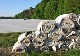 AGRICULTURAL FILMS RECYCLING