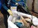 MARINE LITTER