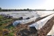 EU PLASTICS STRATEGY