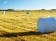 AGRICULTURAL FILMS RECYCLING