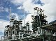 SATELLITE PETROCHEMICAL