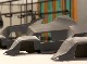 CONTINENTAL STRUCTURAL PLASTICS