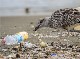 PLASTICS AND ENVIRONMENT