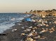 PLASTICS WASTE