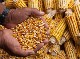 BIOPLASTICS