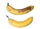 FOOD PACKAGING