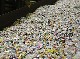 PLASTICS RECYCLING EUROPE