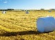 AGRICULTURAL FILM RECYCLING