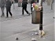 CIRCULAR ECONOMY GERMANY