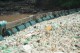 PLASTIC FANTASTIC
