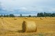 AGRICULTURAL FILM