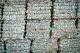 PLASTICS WASTE