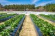 AGRICULTURAL FILM RECYCLING