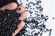 POLYMERS FOR EUROPE ALLIANCE
