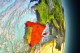 PLASTIC PACKAGING SPAIN