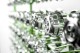 PLASTIC MANUFACTURING GROUP