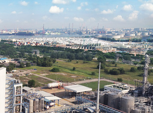 Arkema New Bio Based Pa 11 Plant To Be Sited In Singapore